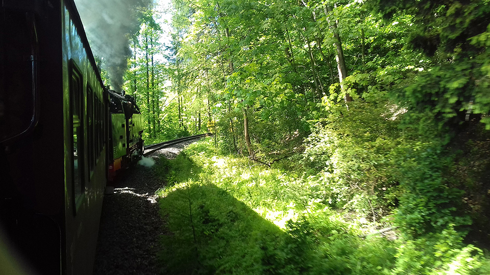 DAMPFLOK – Mit Horn und Dampf durch den Harz
