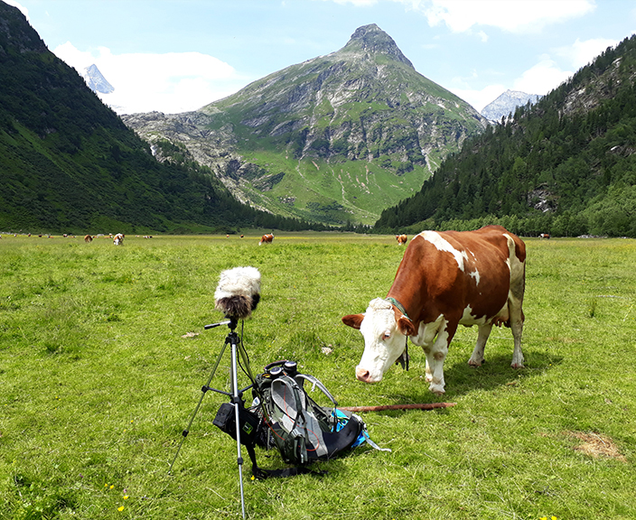 feelplex-sounds-about-osttirol